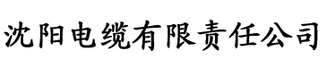 小唐璜的感情史中文翻译电缆厂logo